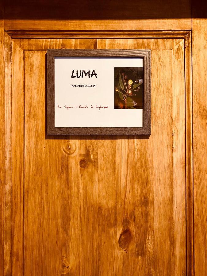 Hostal Esquina Patagonica Coyhaique Kültér fotó